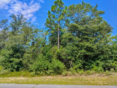 Vacant Lot in Sunny Hills - Build Your Dream Home Today! Take on Sunny Hills Golf and Country Club in Florida - for sale on GolfHomes.com, golf home, golf lot