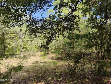 Vacant Lot in Sunny Hills - Build Your Dream Home Today! Take on Sunny Hills Golf and Country Club in Florida - for sale on GolfHomes.com, golf home, golf lot