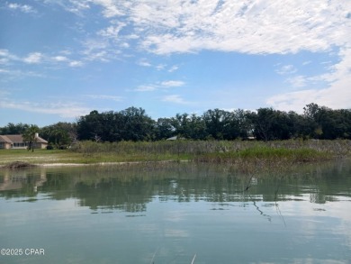 🌊 Rare Direct Lake Lot on Boat Lake | 0.26 Acres | Paved on Sunny Hills Golf and Country Club in Florida - for sale on GolfHomes.com, golf home, golf lot