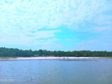 🌊 Rare Direct Lake Lot on Boat Lake | 0.26 Acres | Paved on Sunny Hills Golf and Country Club in Florida - for sale on GolfHomes.com, golf home, golf lot