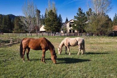 Peaceful country living in the heart of the mountains. This gem on Terrace Lakes Golf Resort in Idaho - for sale on GolfHomes.com, golf home, golf lot