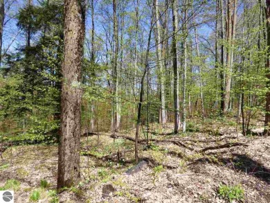 Beautiful elevated wooded lot near the Chief Golf Course and on Hawks Eye Golf Course in Michigan - for sale on GolfHomes.com, golf home, golf lot