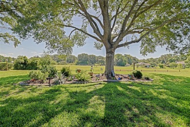 Stunning home loaded with upgrades on a deep semi-private lot on Eagle Ridge At Spruce Creek Country Club in Florida - for sale on GolfHomes.com, golf home, golf lot