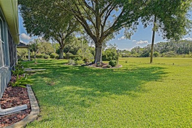 Stunning home loaded with upgrades on a deep semi-private lot on Eagle Ridge At Spruce Creek Country Club in Florida - for sale on GolfHomes.com, golf home, golf lot
