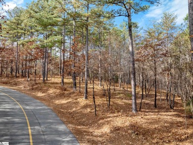 Listed by Kim Crain|Herlong SIR|  Experience refined on The Reserve At Lake Keowee in South Carolina - for sale on GolfHomes.com, golf home, golf lot