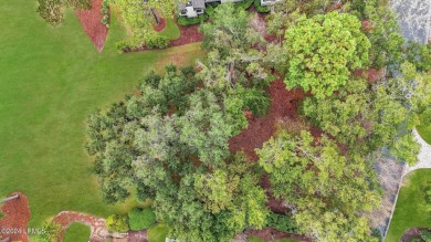 Close the back gate, shopping, groceries, dining  more!  Welcome on Belfair Golf Club in South Carolina - for sale on GolfHomes.com, golf home, golf lot