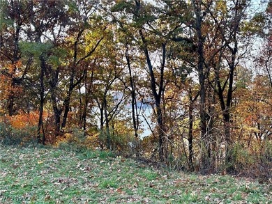 Wow! What a stunning opportunity in Lake Mohawk! This gorgeous on Lake Mohawk Golf Club in Ohio - for sale on GolfHomes.com, golf home, golf lot