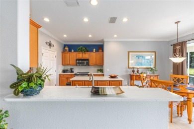 How about a 10-acre backyard that is maintenance
free, you do on Eagle Ridge At Spruce Creek Country Club in Florida - for sale on GolfHomes.com, golf home, golf lot