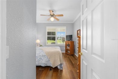 How about a 10-acre backyard that is maintenance
free, you do on Eagle Ridge At Spruce Creek Country Club in Florida - for sale on GolfHomes.com, golf home, golf lot