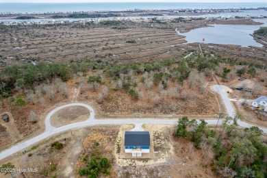 Welcome to 318 Landon Lane in Marsh Haven Landing, your on North Shore Country Club in North Carolina - for sale on GolfHomes.com, golf home, golf lot