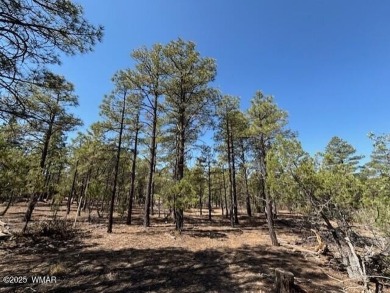 Amazing opportunity to build your dream home that you have on Torreon Golf Club in Arizona - for sale on GolfHomes.com, golf home, golf lot