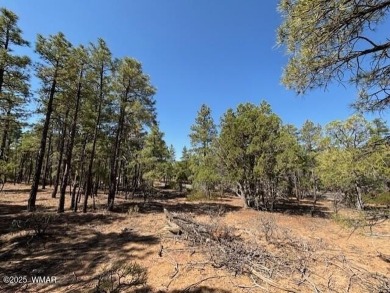 Amazing opportunity to build your dream home that you have on Torreon Golf Club in Arizona - for sale on GolfHomes.com, golf home, golf lot
