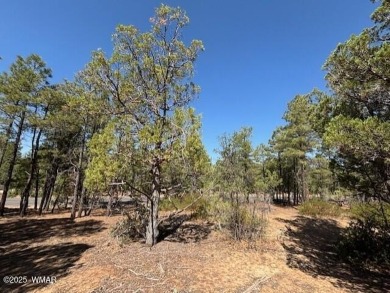 Amazing opportunity to build your dream home that you have on Torreon Golf Club in Arizona - for sale on GolfHomes.com, golf home, golf lot
