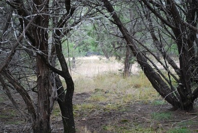 Experience the peace and security of living in a 24-7 gated on White Bluff Resort - New Course in Texas - for sale on GolfHomes.com, golf home, golf lot