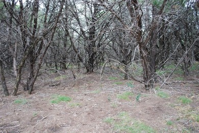 Experience the peace and security of living in a 24-7 gated on White Bluff Resort - New Course in Texas - for sale on GolfHomes.com, golf home, golf lot