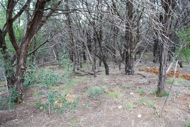 Experience the peace and security of living in a 24-7 gated on White Bluff Resort - New Course in Texas - for sale on GolfHomes.com, golf home, golf lot