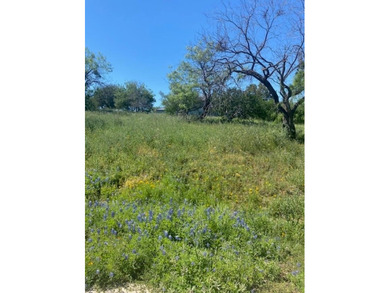 Gorgeous, Mostly Level Lot in Horseshoe Bay West with Distant on Ram Rock Golf Course in Texas - for sale on GolfHomes.com, golf home, golf lot