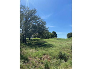 Oversized 0.37-Acre Corner Lot in Horseshoe Bay West. Discover on Horseshoe Bay Private Golf Course in Texas - for sale on GolfHomes.com, golf home, golf lot