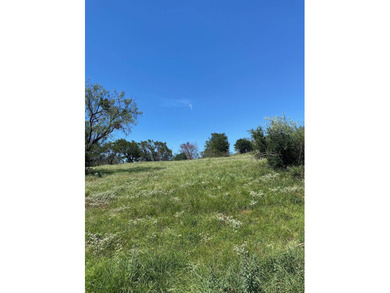 Build Your Dream Home in Horseshoe Bay! Don't miss this on Ram Rock Golf Course in Texas - for sale on GolfHomes.com, golf home, golf lot