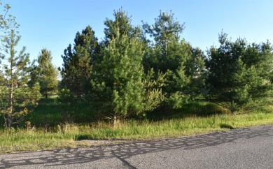 Amazing Opportunity in Sugar Springs *Northern Michigan's Best on Sugar Springs Country Club in Michigan - for sale on GolfHomes.com, golf home, golf lot