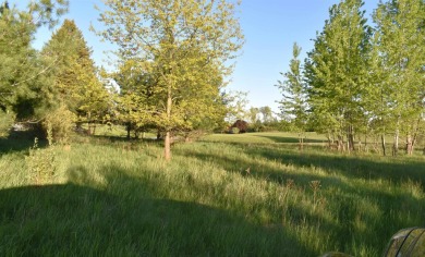Amazing Opportunity in Sugar Springs *Northern Michigan's Best on Sugar Springs Country Club in Michigan - for sale on GolfHomes.com, golf home, golf lot