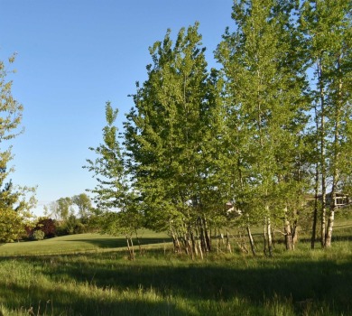 Amazing Opportunity in Sugar Springs *Northern Michigan's Best on Sugar Springs Country Club in Michigan - for sale on GolfHomes.com, golf home, golf lot