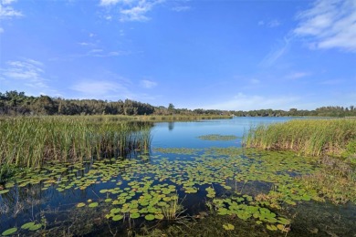 ENJOY AN EXCLUSIVE 55-PLUS GATED COMMUNITY AT ON TOP OF THE on On Top Of The World Golf Course in Florida - for sale on GolfHomes.com, golf home, golf lot