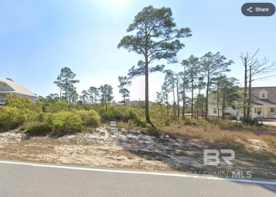 Prime Coastal Lot in Perdido Key - Ready to Build!Seize this on Lost Key Golf Club in Florida - for sale on GolfHomes.com, golf home, golf lot