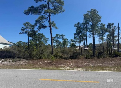 Prime Coastal Lot in Perdido Key - Ready to Build!Seize this on Lost Key Golf Club in Florida - for sale on GolfHomes.com, golf home, golf lot