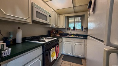 Welcome to this well-maintained 2-bedroom, 2-bath villa in the on Mountain Ranch Golf Club in Arkansas - for sale on GolfHomes.com, golf home, golf lot