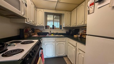 Welcome to this well-maintained 2-bedroom, 2-bath villa in the on Mountain Ranch Golf Club in Arkansas - for sale on GolfHomes.com, golf home, golf lot