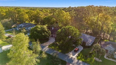 Exquisite home with direct ACCESS TO THE RAINBOW RIVER! This on Rainbow Springs Golf and Country Club in Florida - for sale on GolfHomes.com, golf home, golf lot