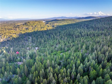 Incredible unobstructed, panoramic views into the peaks of on Whitefish Lake Golf Club in Montana - for sale on GolfHomes.com, golf home, golf lot