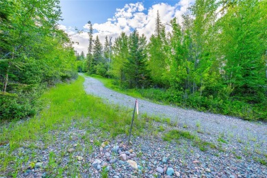 Incredible unobstructed, panoramic views into the peaks of on Whitefish Lake Golf Club in Montana - for sale on GolfHomes.com, golf home, golf lot