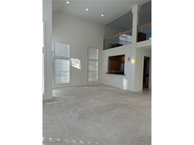 Custom designed free standing cluster home in sought after on StoneWater Golf Club in Ohio - for sale on GolfHomes.com, golf home, golf lot