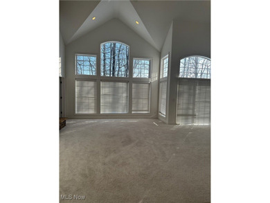 Custom designed free standing cluster home in sought after on StoneWater Golf Club in Ohio - for sale on GolfHomes.com, golf home, golf lot