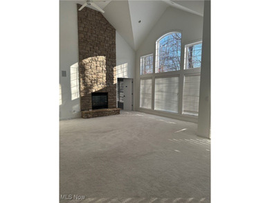 Custom designed free standing cluster home in sought after on StoneWater Golf Club in Ohio - for sale on GolfHomes.com, golf home, golf lot