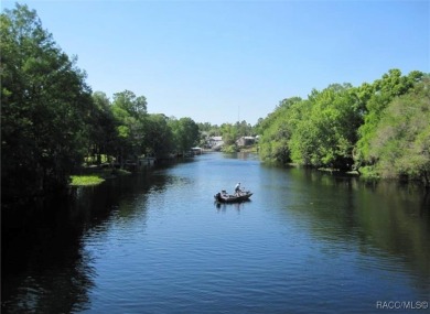 Nestled in the heart of Citrus Springs, this residential on Citrus Springs Country Club in Florida - for sale on GolfHomes.com, golf home, golf lot