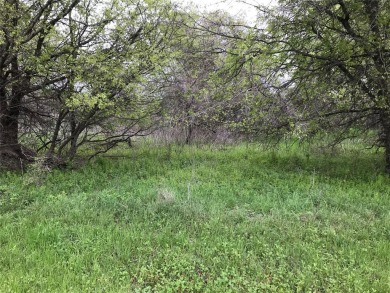 Interior lot; 0.257 Acres 11194.92 SF located after the covered on White Bluff Resort - New Course in Texas - for sale on GolfHomes.com, golf home, golf lot