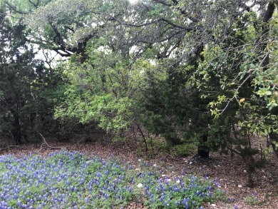 Two lots being sold for one price. Great location with corp land on White Bluff Resort - Old Course in Texas - for sale on GolfHomes.com, golf home, golf lot