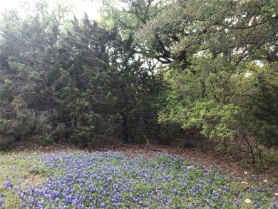 Two lots being sold for one price. Great location with corp land on White Bluff Resort - Old Course in Texas - for sale on GolfHomes.com, golf home, golf lot