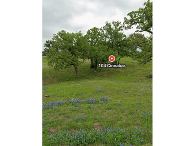 Excellent building site in highly desired Horseshoe Bay West on on Ram Rock Golf Course in Texas - for sale on GolfHomes.com, golf home, golf lot