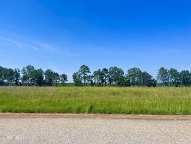 From curb to Fairway. Such a sweet spot to build on! This .56 on Southern Hills Golf Club in Georgia - for sale on GolfHomes.com, golf home, golf lot