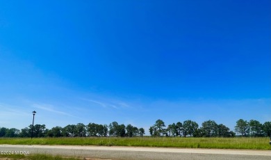 From curb to Fairway. Such a sweet spot to build on! This .56 on Southern Hills Golf Club in Georgia - for sale on GolfHomes.com, golf home, golf lot