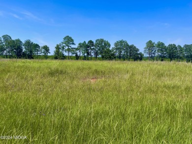 From curb to Fairway. Such a sweet spot to build on! This .56 on Southern Hills Golf Club in Georgia - for sale on GolfHomes.com, golf home, golf lot