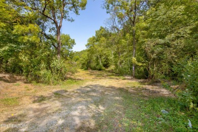 Don't miss the video tour!! 

What an amazing opportunity to on Creekside Plantation in Tennessee - for sale on GolfHomes.com, golf home, golf lot