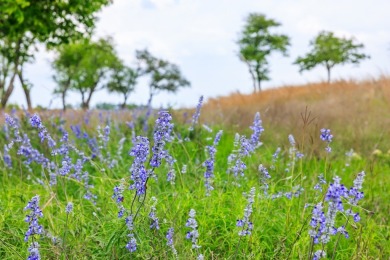 Exceptional 1.6 AC Lot in Boot Ranch: Welcome to Lot 759, an on Boot Ranch Golf Club in Texas - for sale on GolfHomes.com, golf home, golf lot