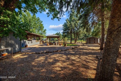 Panoramic fairway views on THREE sides in Pinetop Lakes Country on Pinetop Lakes Golf and Country Club in Arizona - for sale on GolfHomes.com, golf home, golf lot