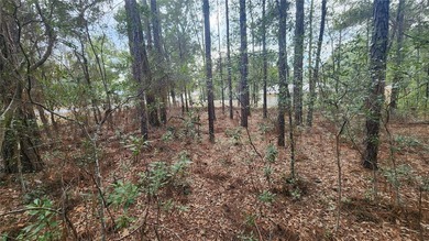 Beautiful homesite on smooth paved road in the growing on Citrus Springs Country Club in Florida - for sale on GolfHomes.com, golf home, golf lot