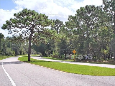 Beautiful homesite on smooth paved road in the growing on Citrus Springs Country Club in Florida - for sale on GolfHomes.com, golf home, golf lot